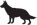 Dog obediance classes