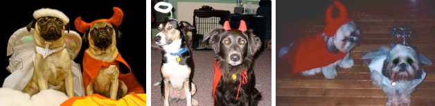 Halloween PArty